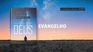 Meditações Diárias: 25 Agosto - EVANGELHO l Maravilhoso Deus