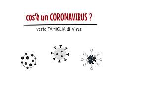 CoronaVirus - FATE GIRARE