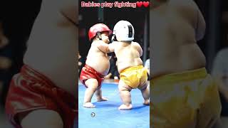 Babies play fighting❤️❤️ #cutebabies #shorts #viralbaby #cute #animals #trending