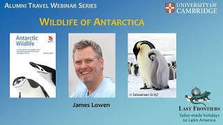 Wildlife of Antarctica - Alumni Travel Talk