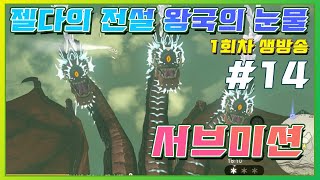 젤다의 전설 티어스 오브더 킹덤 1회차/14