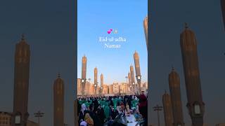 Eid ul Adha #eid #madina #2023 #saudiarabia