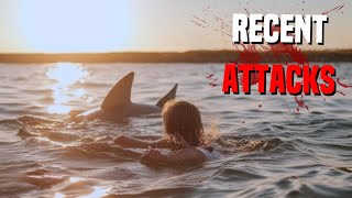 DEADLY Recent Animal Attacks (Sharks, Bears, Snakes)