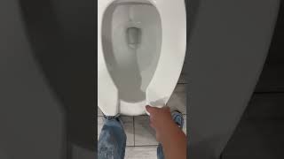 Zurn pressure assist toilet