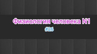 Физиология. ЭКГ-2. 12 отведение (6 грудных, 3 стандартных, 3 однополюсных). #26