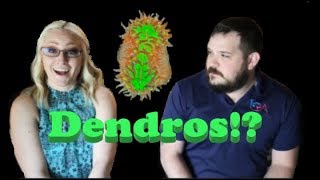 How much does Lisa from Lachri FIne Art know about Walking Dendros? (Game)