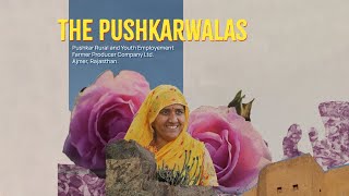 Pushkar paints a rosy picture