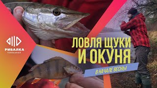 Рыбалка в мегаполисе — Ловля щуки и окуня в начале весны