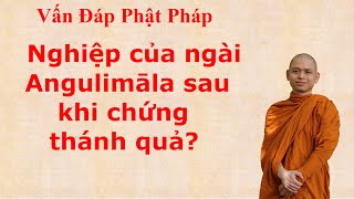 2692. Nghiệp của ngài Angulimāla sau khi chứng thánh quả?