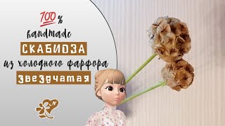 Эксперимент! Скабиоза звездчатая из холодного фарфора. Scabicosis cold porcelain.