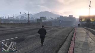 Grand Theft Auto V Epic punch