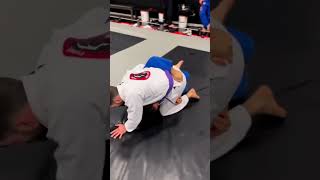 Subscribe for more daily bjj content!