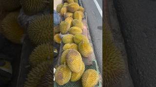 Durian How To Cut # short