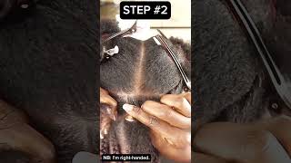 How to start a knotless braid #braids #hairtutorial #shorts