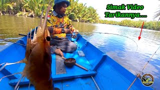 MANCING UDANG GALAH || JORAN HAMPIR DITARIK KE BAWAH PERAHU