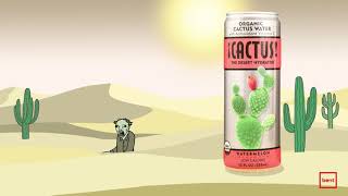 Brent Heise - ¡Cactus! "Zombie Snack"