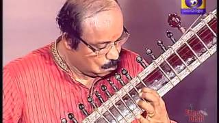 Best Veena Fusion on DD Malayalam  Exclusive