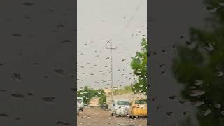 مطر 🌧 الشطرة اليوم