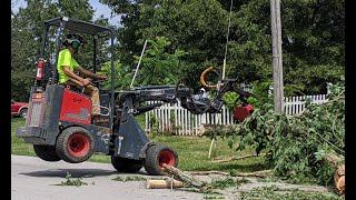 Articulated loaders doing tree removal - Intrepid miniloaders with TNA & Branch Manager Grapple