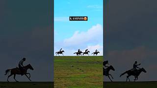 Horse Race 🐎 in Kashmir 😍 #rizwanali #shorts #viralvideo #ytshorts #4k #samsung #s23ultra