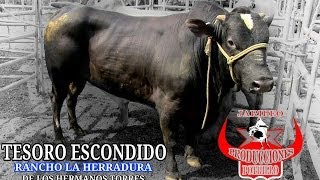 DERROTADO//JUANJO PELAYO DE JAL.VS.TESORO ESCONDIDO DE R//LA HERRADURA ERM,TORRES 1080p HD.