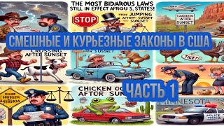 Забавные законы США, о которых вы не знали!