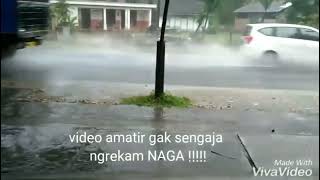 #viral video amatiran penampakan s******  naga asli #jawatimur #tuban #february