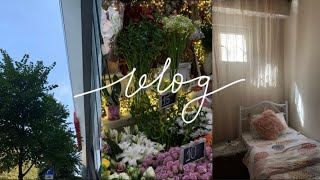 Shopping for our new rented apartment in Tbilisi Georgia | Vlog