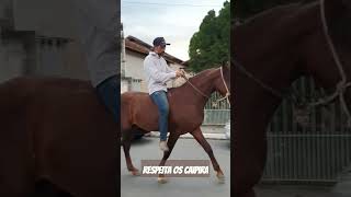 Respeita os Caipira I Paulo Mori #domador #cavalos #horse #doma #agro #cavalosdepotencia