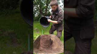 Harvesting A Bucket Of Potatoes! #gardening #selfsufficiency