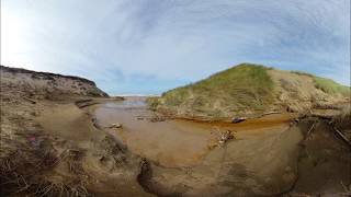 360VR Stereo I Nationalpark Thy I Denmark 2019