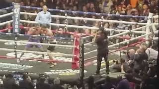 Errol Spence dominating. .T'challa files