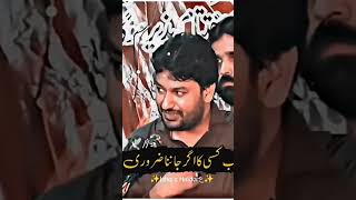 Zakir Ali Imran Jaffri Qasida #shorts #short #short video #shortclip  #shortsfeed #viral