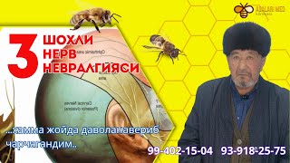 УЧ ШОХЛИ НЕРВНИ ЯГОНА ДАВОСИ