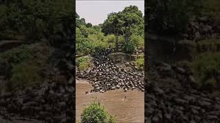 #shorts MARAS River Crossing