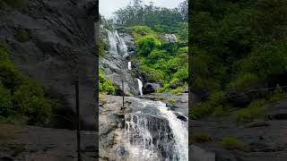 Munnar waterfall 😻#viral #kerala #munnar #shorts #waterfall #nature #viralvideo #delhi #mumbai #goa