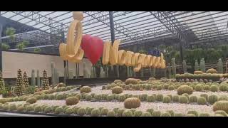 Nong Nooch Tropical Botanical Garden #pattaya #thailand #travel #youtube