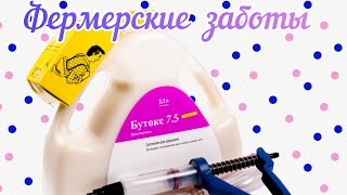 Обработка коровника//Белим стены//Пробуем новый препорат Бутокс