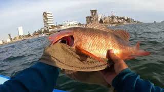 pesca de dos días la mejor pesca de pargos