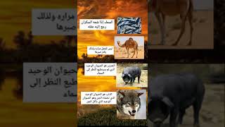 معلومات في علم النفس سوف تذهلك حقا #shorts