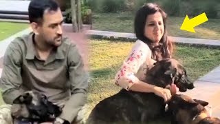 Dhoni Wife's CUTE Video While Playing With Pet Dogs With Husband