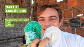 Varais ecológicos com Giorggio Abrantes