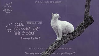 ♬[Vietsub] Em Của Sau Này Sẽ Ở Đâu - Thụ Trạch || 后来的你在哪 - 树泽 ||『 後來的妳在哪 誰為妳守候，誰陪妳白頭 帶著妳遠走 』