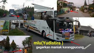 hunting bus di jam sore||bus maju lancar(Yudistira)menggegerkan jalur karangpucung🔥🔥mengbasuri🐍🐍