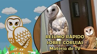 Matéria de TV - Um resumo rápido sobre corujas!