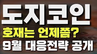 도지코인 호재는 언제쯤?9월 대응전략 공개