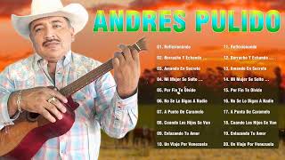 Andrés Pulido Sus Mejores Canciones - Andrés Pulido  Exitos Mezcladitos - Música Llanera