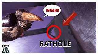 TOP 2 Ratholes on Gen Part 2|ARK SURVIVAL EVOLVED