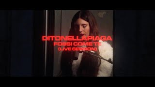 Ditonellapiaga - Fossi come te (Live Session)