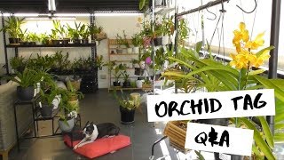 ORCHID TAG : Questions & Answers